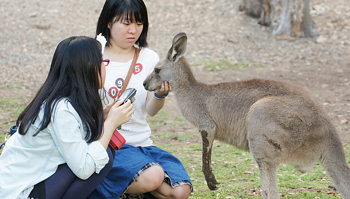 写真：オーストラリア/ゴールドコースト/テイフ/姉妹校/研修プログラム/読売理工学院