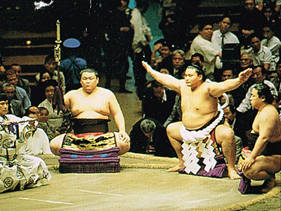 写真：大相撲オーストラリア公演